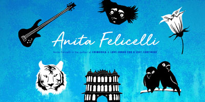 Anita Felicelli author