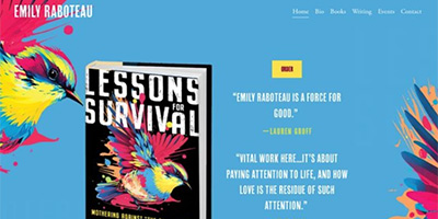Emily Raboteau Website