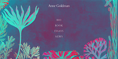 Anne Goldman author website